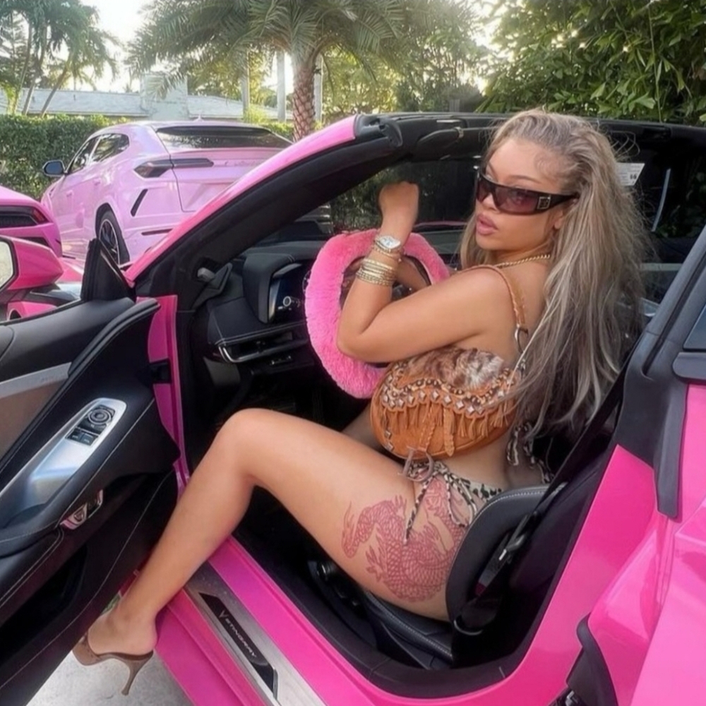 Dior Saddle Bag Limited Edition Studded Fur Trim - Picture 16 of 16